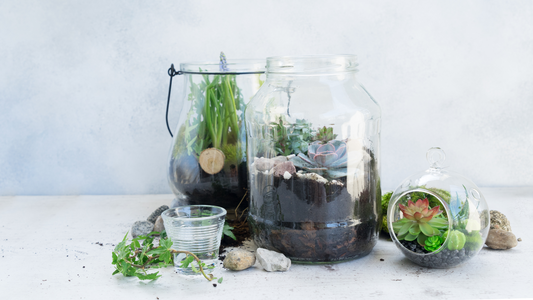 Refill, Reuse, Reconnect: How to Extend the Life of Your Candle Jars