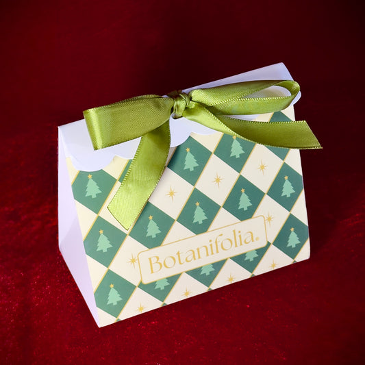 Essential Oils Christmas Box